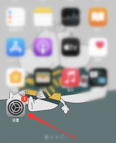 iphone13电话降噪在哪