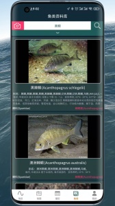 潮汐表精灵2024版