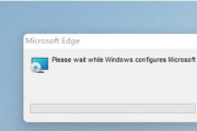 Win11flash运行异常问题修复失败怎么解决