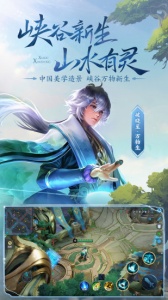 王者荣耀体验服