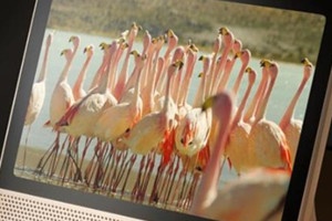 天猫精灵app怎么添加智能设备