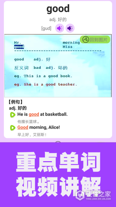 初中英语单词通免费版