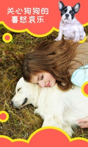 狗狗助手