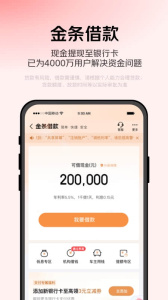 京东金融大字版