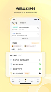 飞行之翼