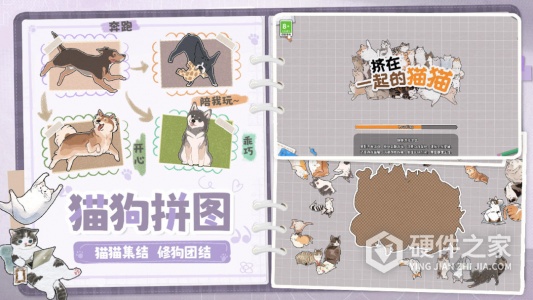 挤在一起的猫猫