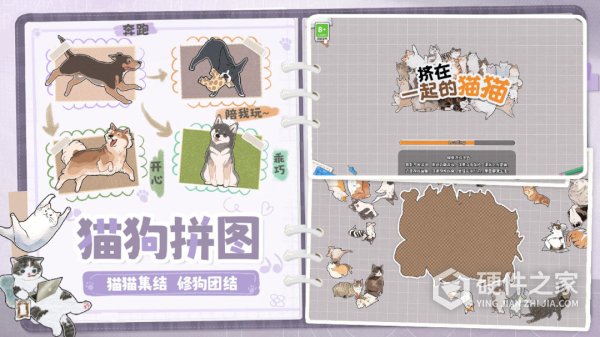 挤在一起的猫猫