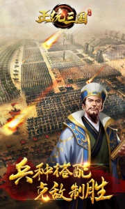 正统三国(烧脑策略)