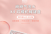 黑峡谷 X4键盘介绍