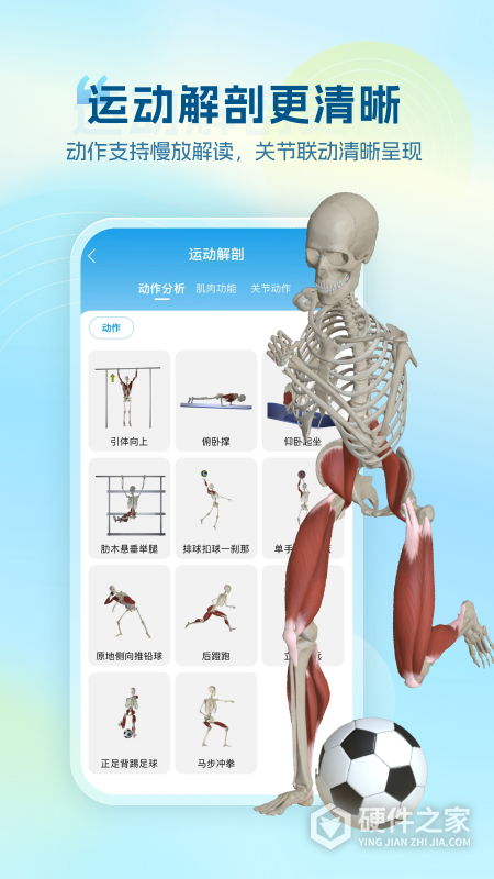维萨里3D解剖