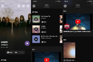 apple music怎么用脏版