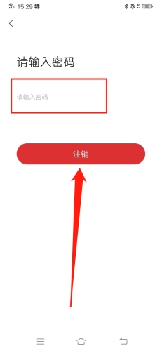 赛鸽头条安卓版