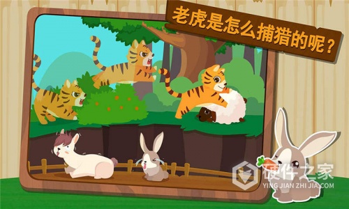 森林动物