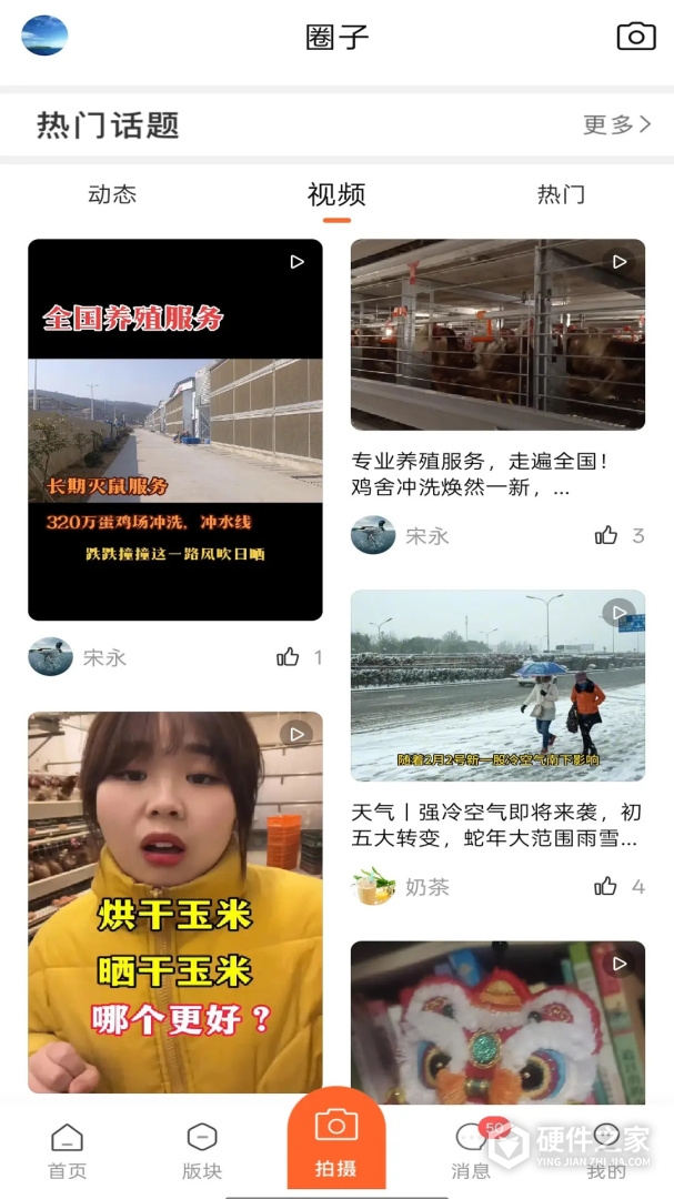 鸡病专业网论坛