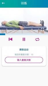 捷行伴侣