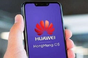 鸿蒙测试版在哪里看审核状态