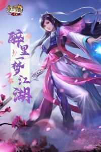 口袋征服特别版