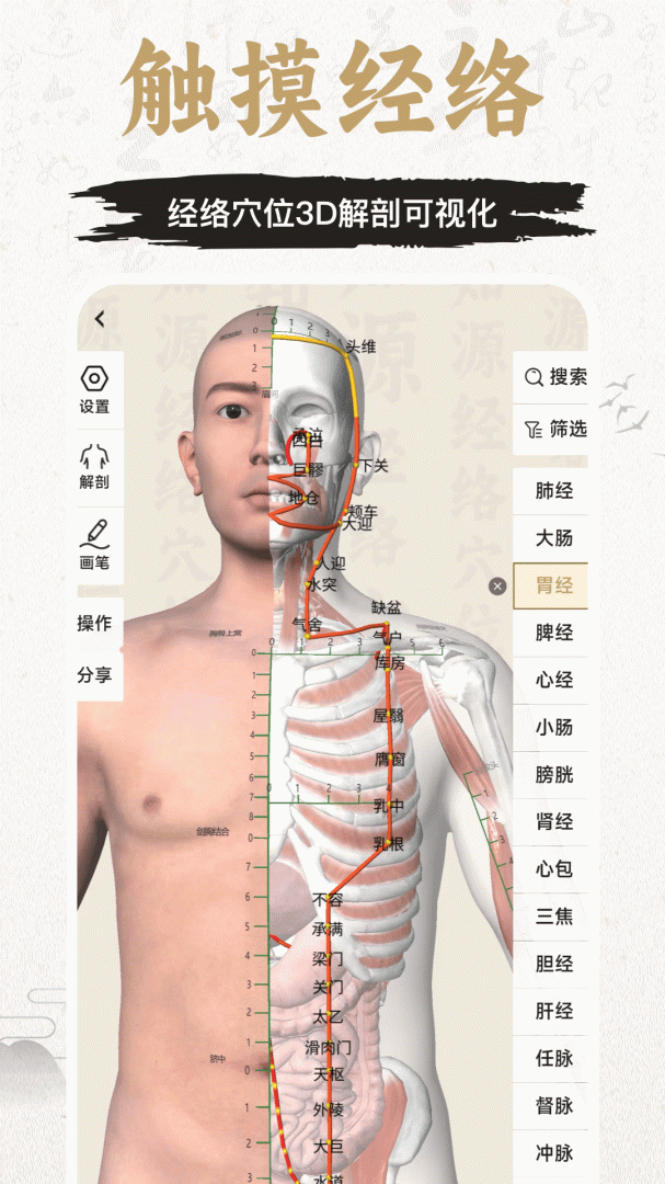 中济经络穴位官方版