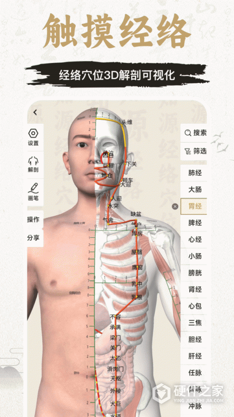 中济经络穴位官方版