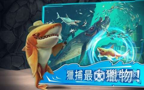 饥饿鲨世界网易版