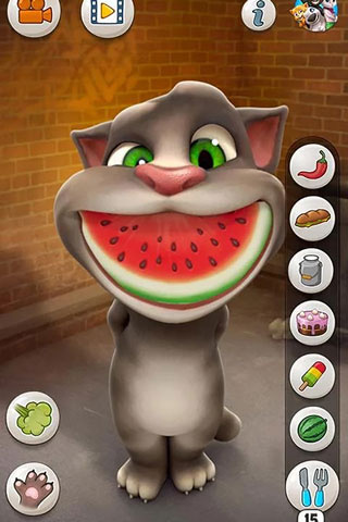 会说话的汤姆猫国际版