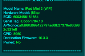 LeetDown(iOS降级工具)