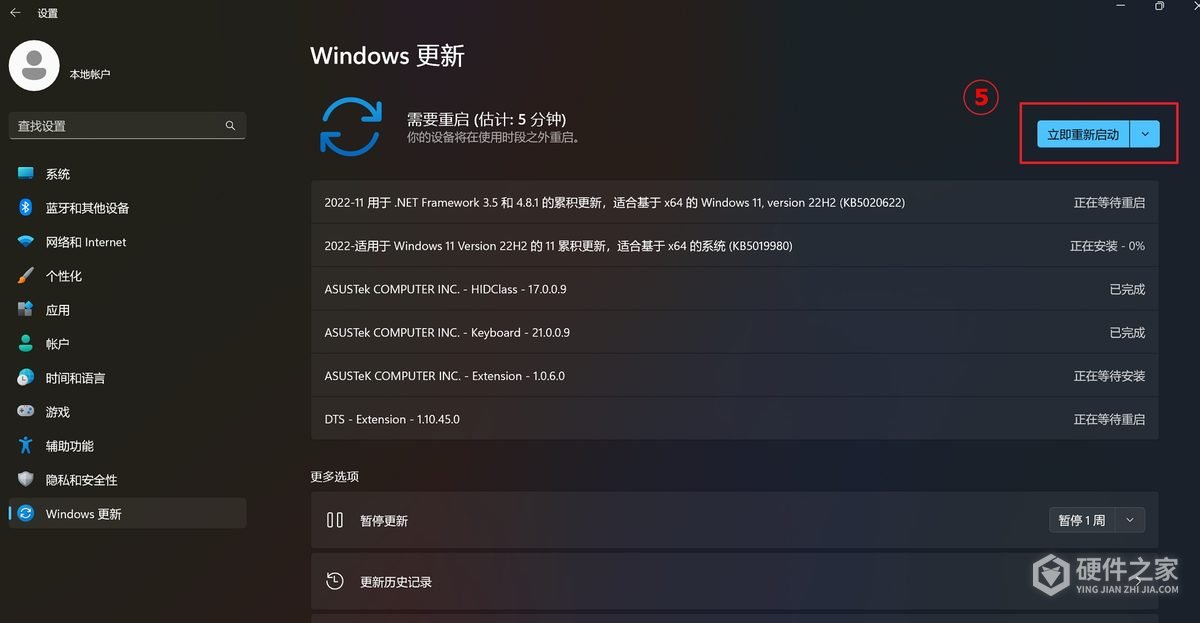 Windows11安装AMD显卡驱动报错202怎么办?