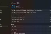 Windows11安装AMD显卡驱动报错202怎么办?